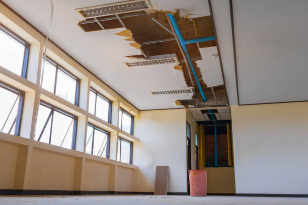 Best Flood restoration services  in Appleton, MN