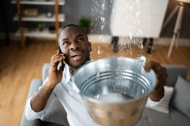 Best Fire Damage Restoration  in Appleton, MN