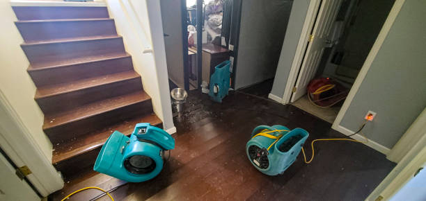 Best Fire Damage Restoration  in Appleton, MN