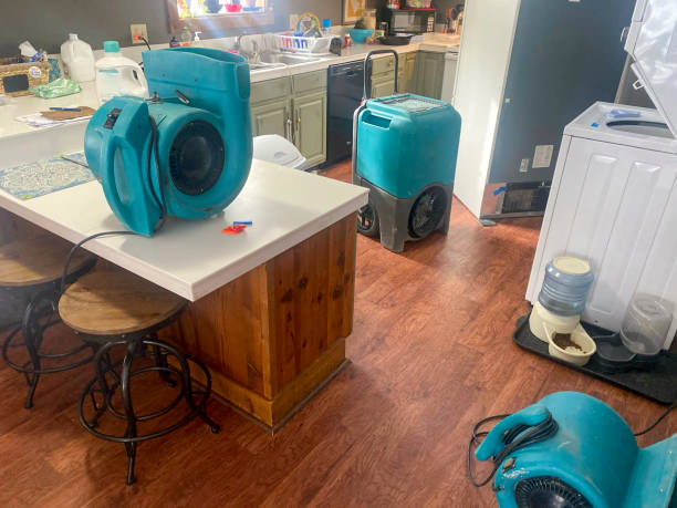 Best Carpet water damage restoration  in Appleton, MN
