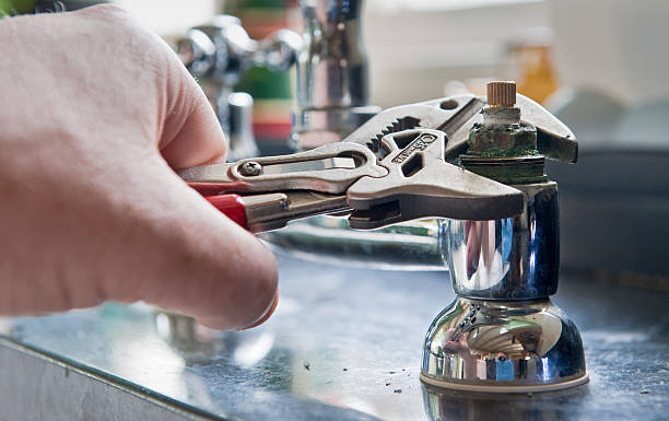 Best Flood damage cleanup  in Appleton, MN