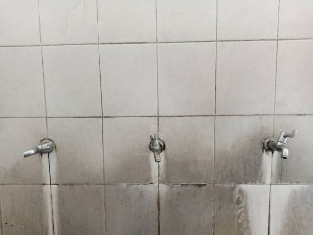 Best Emergency water extraction  in Appleton, MN