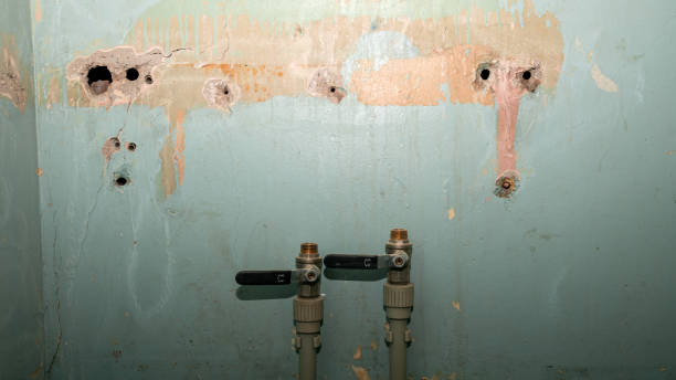Best 24/7 water damage repair  in Appleton, MN