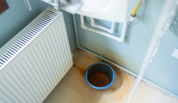 Best Flood restoration services  in Appleton, MN
