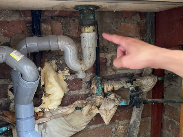 Best Residential water damage restoration  in Appleton, MN