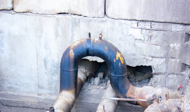 Best Mold removal after water damage  in Appleton, MN