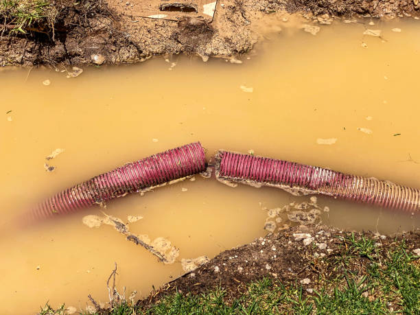 Best Emergency water damage restoration  in Appleton, MN