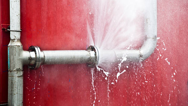 Best 24-hour water damage restoration  in Appleton, MN