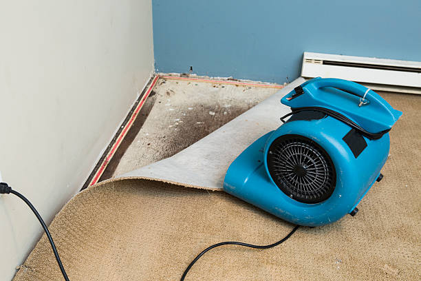  Appleton, MN Water damage restoration Pros