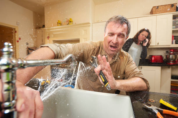 Best Flooded house restoration  in Appleton, MN